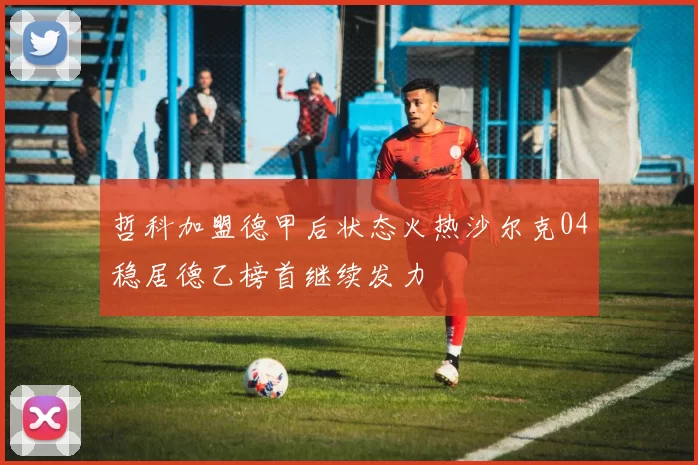 哲科加盟德甲后状态火热沙尔克04稳居德乙榜首继续发力