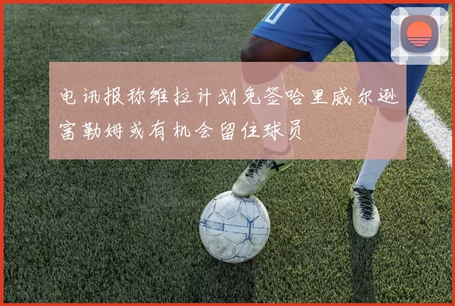 电讯报称维拉计划免签哈里威尔逊富勒姆或有机会留住球员