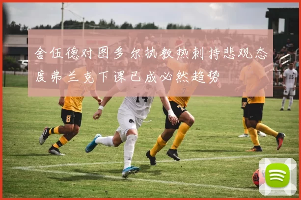 舍伍德对图多尔执教热刺持悲观态度弗兰克下课已成必然趋势